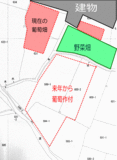 田畑図面予定.gif