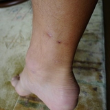 SP1010906.jpg